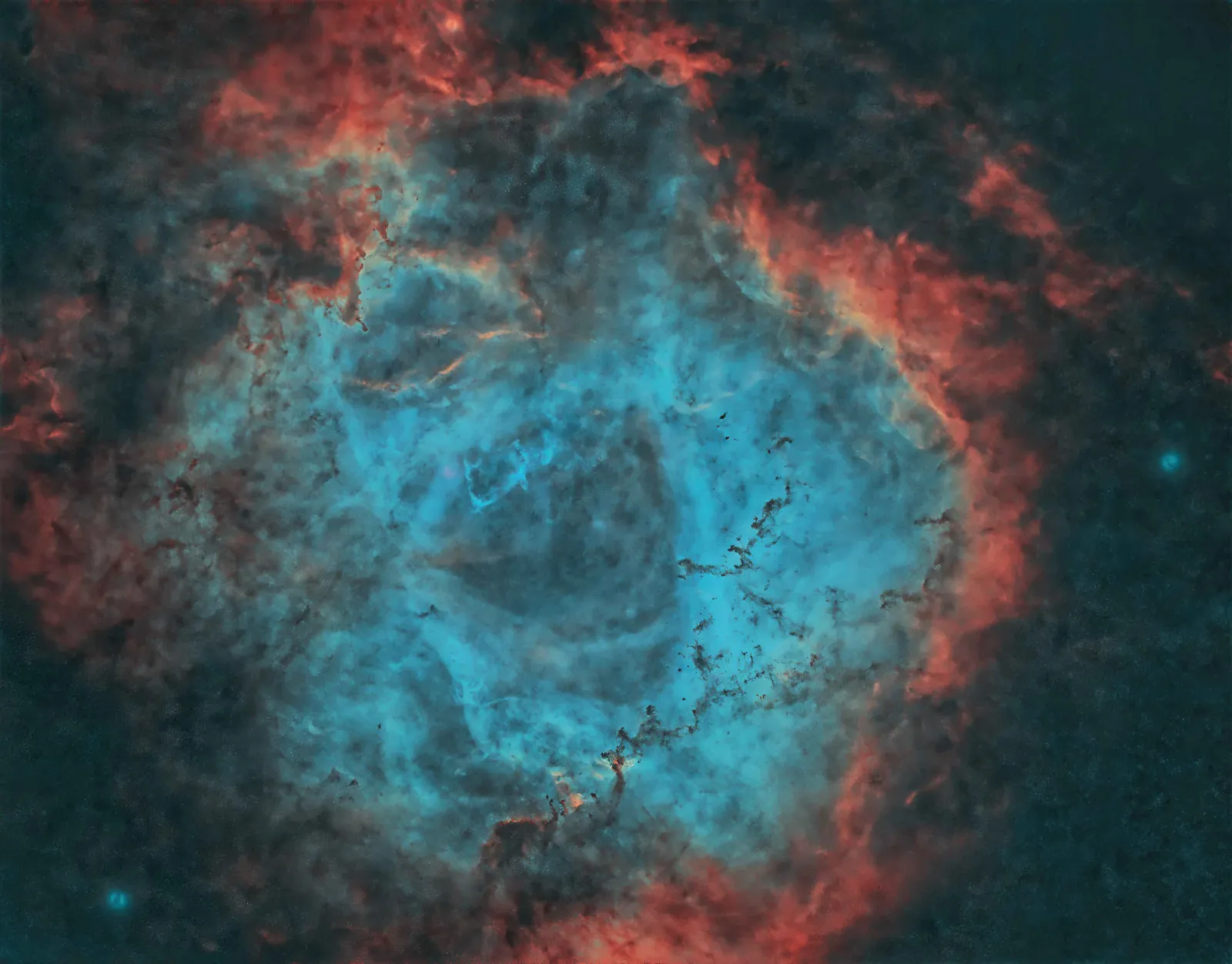 Caldwell 49 Rosette Nebula